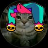tom_tom973