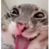 yphungneee