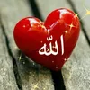 user1971246694336