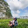 meliharyati7