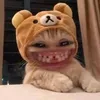 ba_trinh123
