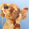 snackphomai04