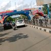 cyang264