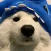 minecraftexplorerguy_