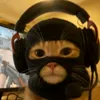 sayyestovel11