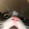 fansda7_