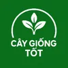 Trung Tâm Cây Giống Tốt
