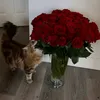 may_aaaz