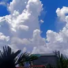 covandiem