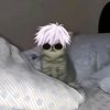 kinktarzzwutwut