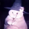 kyledtmbt