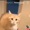 _455660