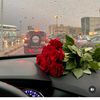 nourazyargmail.com463