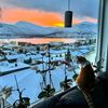 wealthbuds_