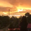 franz_224