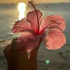 itzz.angi_