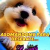 elsacolina41