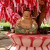 khanhvu7808
