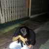 dekchaipap_