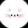 user445694162