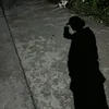 wrongsenddial