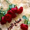 user3374769878345