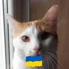 viktorijay