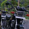 wandifidos014