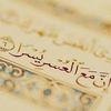 merna.yamany