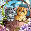 user923681522