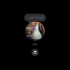 user757563328031