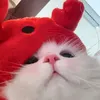meowwithonlywon