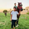 user5100873914745
