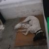 user7261102307637