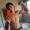 pitbull_ch333