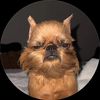 max.selig