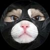 zod_yasiroo53