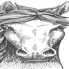 condeebatosa