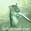 verit689