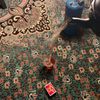 anas_6366