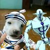 pepito_la_fonte
