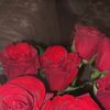 malak8661315697166