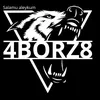_4borz8_