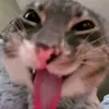 trannguyenthaoday_29