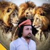 noorkhanwazir48