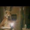 aldair.kpr