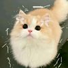 israt.jahan_20