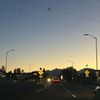 savanna_12124