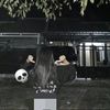 zxr_krx