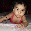 putul.sheel